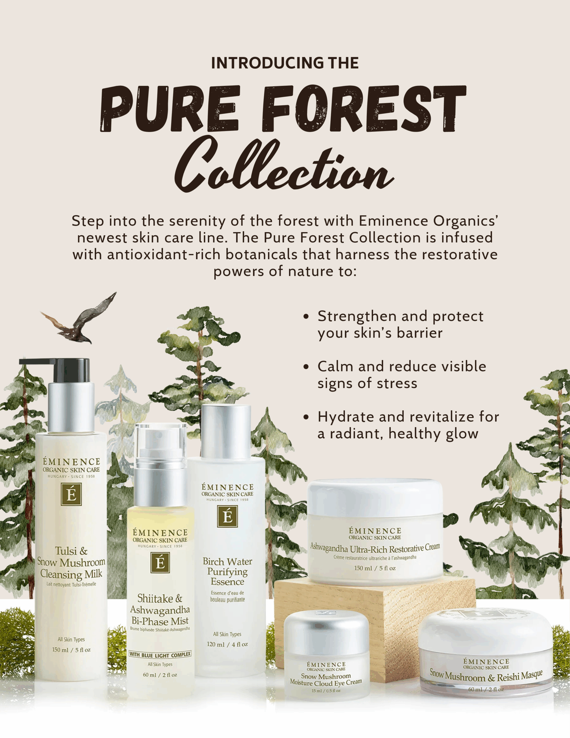 Wheaton Sport Center The Spa Pure Forest Eminence Promo